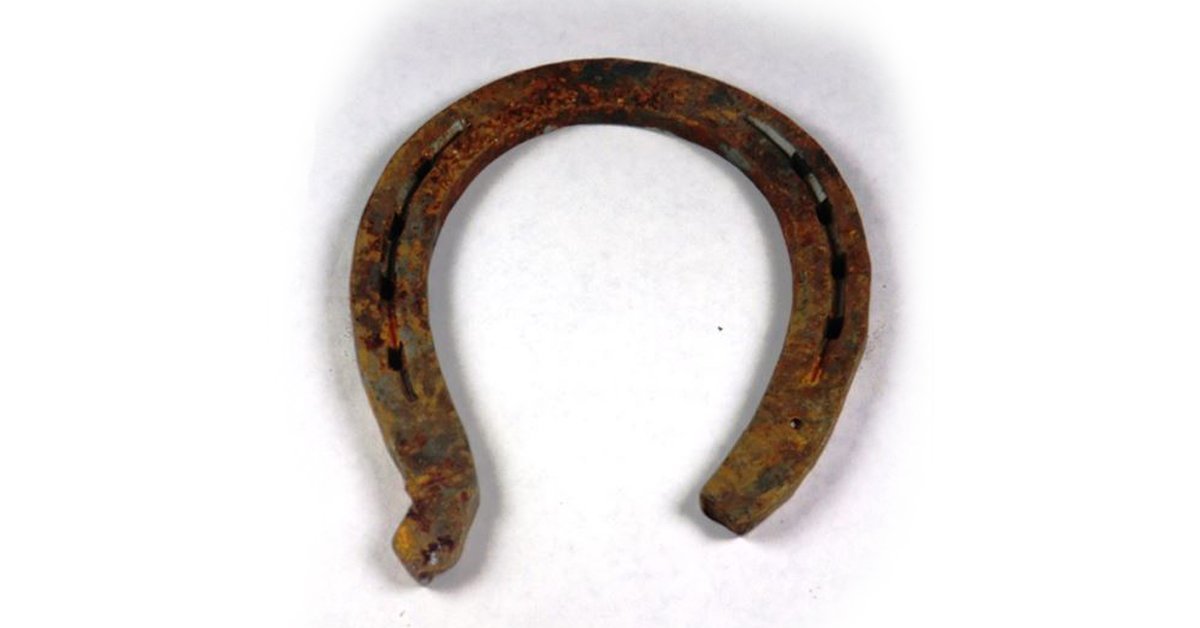Lucky Horseshoes