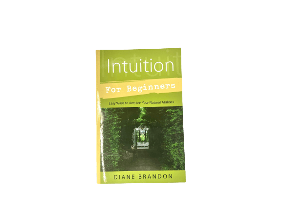 Intuition for Beginners