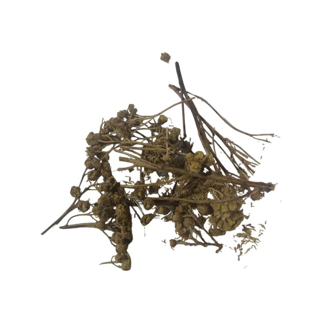 Tansy