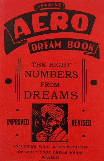 CLEARANCE: The Genuine AERO Dream Book