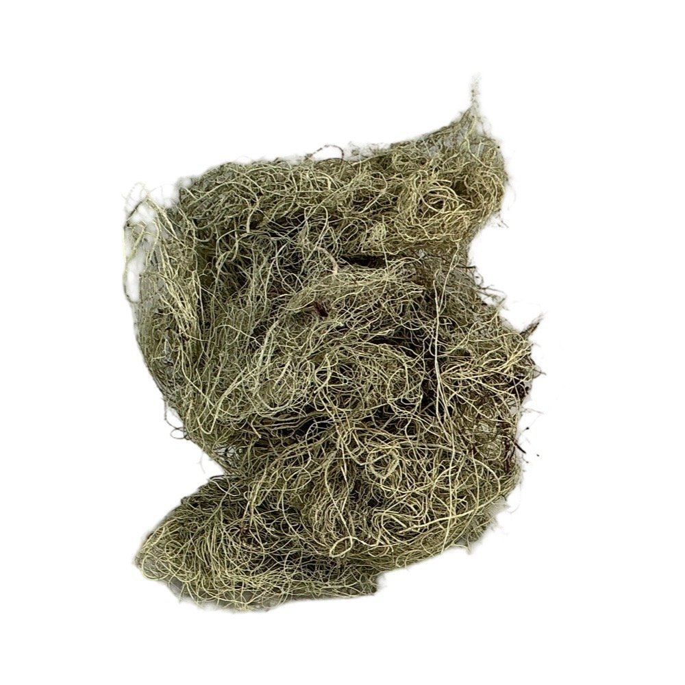 Iceland Moss