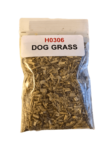 Dog Grass