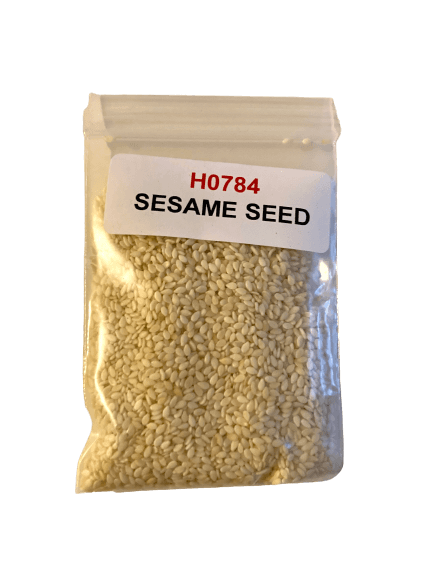 Sesame Seed
