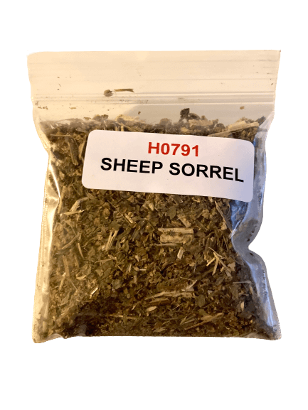 Sheep Sorrel