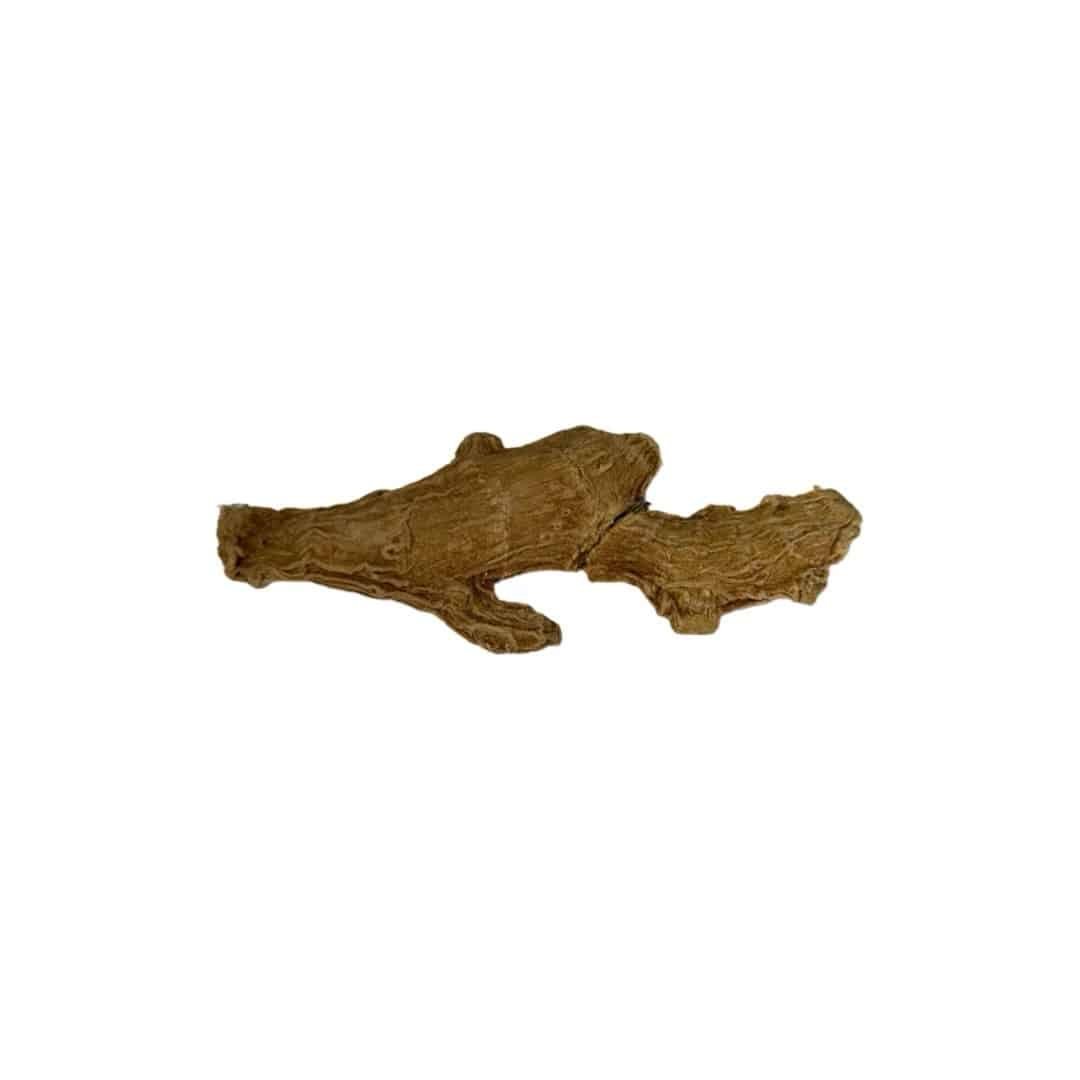 Ginger Root