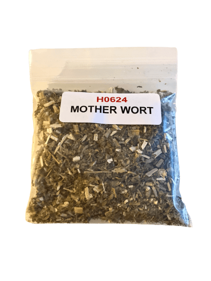 Motherwort