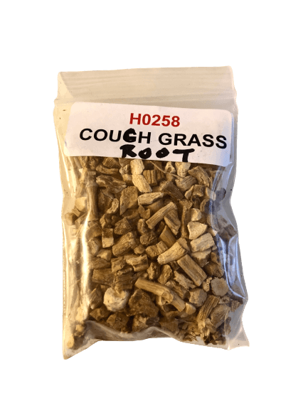 Couch Grass Root