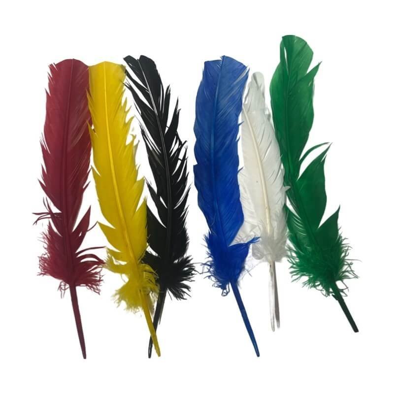 Quill Feather Pen