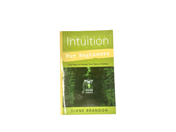 Intuition for Beginners
