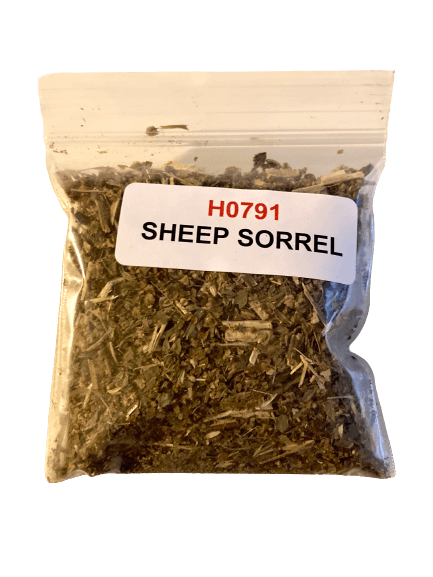 Sheep Sorrel